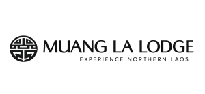 Bfound_Logo_Picture_1