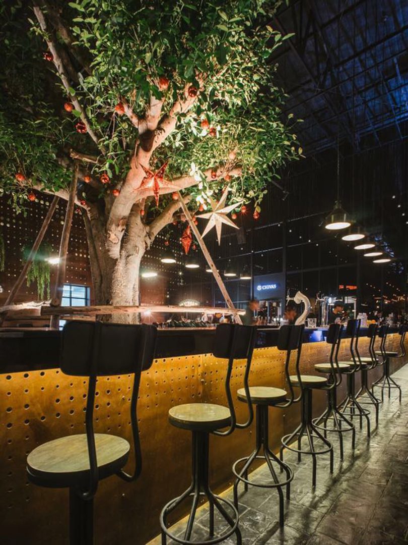 Tasty_tude_Hero_picture_7